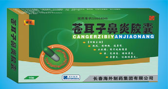 輔正/蒼耳子鼻炎膠囊