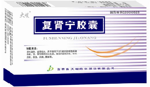 復(fù)腎寧膠囊