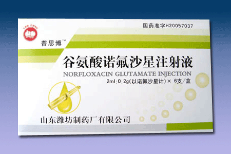 谷氨酸諾氟沙星注射液