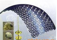 顱骨修補(bǔ)鈦網(wǎng)