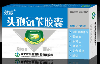頭孢氨芐膠囊