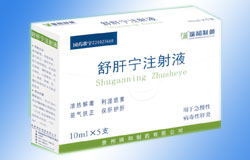 舒肝寧注射液
