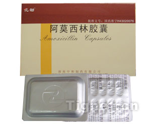 阿莫西林膠囊