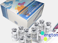 狗白介素-1(dog IL-1)酶聯(lián)免疫