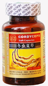 冬蟲夏草