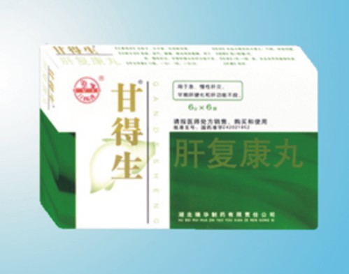 肝復(fù)康丸