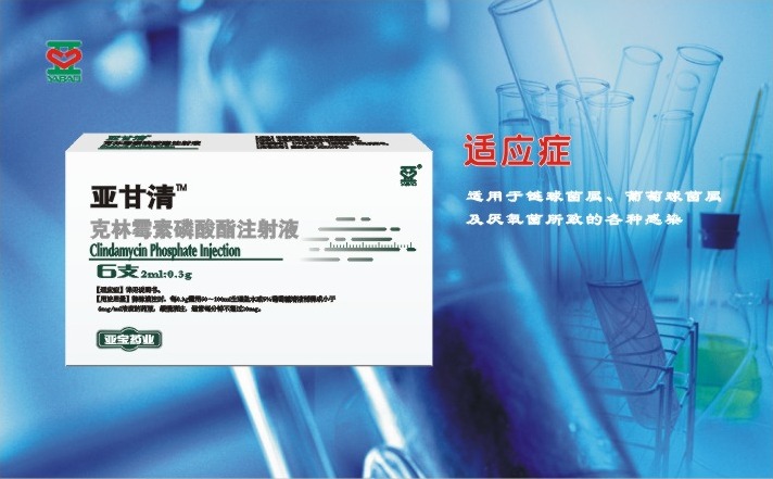 克林霉素磷酸酯注射液（亞甘清）