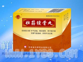 壯筋續(xù)骨丸