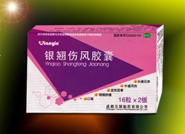 銀翹傷風(fēng)膠囊