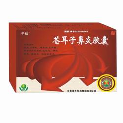 千結(jié)/蒼耳子鼻炎膠囊