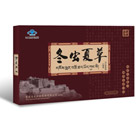 冬蟲夏草口服液