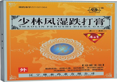 少林風(fēng)濕跌打膏
