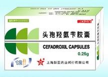 頭孢羥氨芐膠囊招商