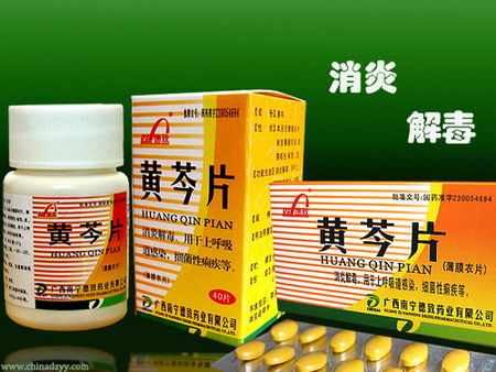 黃芩片