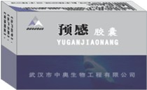 預(yù)感膠囊