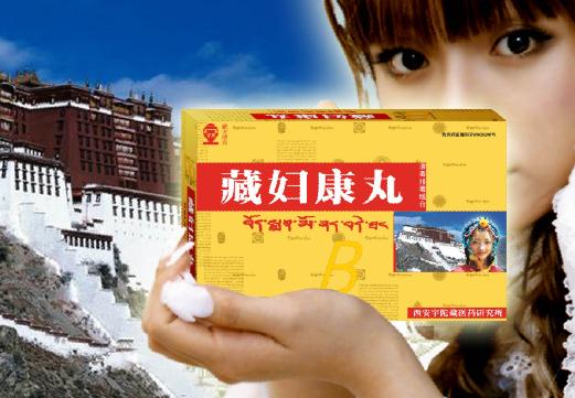 藏婦康普通款