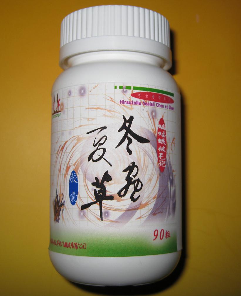 冬蟲夏草蝙蝠蛾被毛孢膠囊