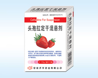 頭孢拉定干混懸劑