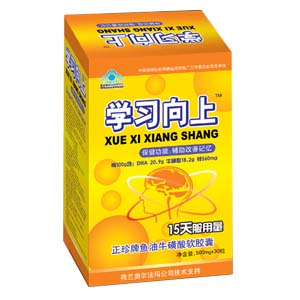 上海鴻彬?qū)W習向上 改善記憶迎高考（可貼牌