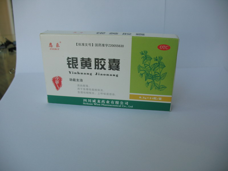 銀黃膠囊（大敗毒膠囊）