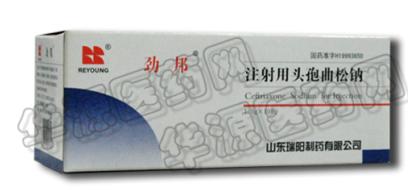 注射用頭孢曲松鈉（塞肟鈉，呋辛鈉）