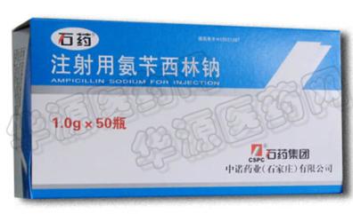 注射用氨芐西林鈉（頭孢米諾鈉，頭孢西叮鈉