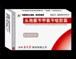 頭孢氨芐甲芐啶膠囊