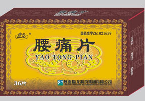 *腰痛片*