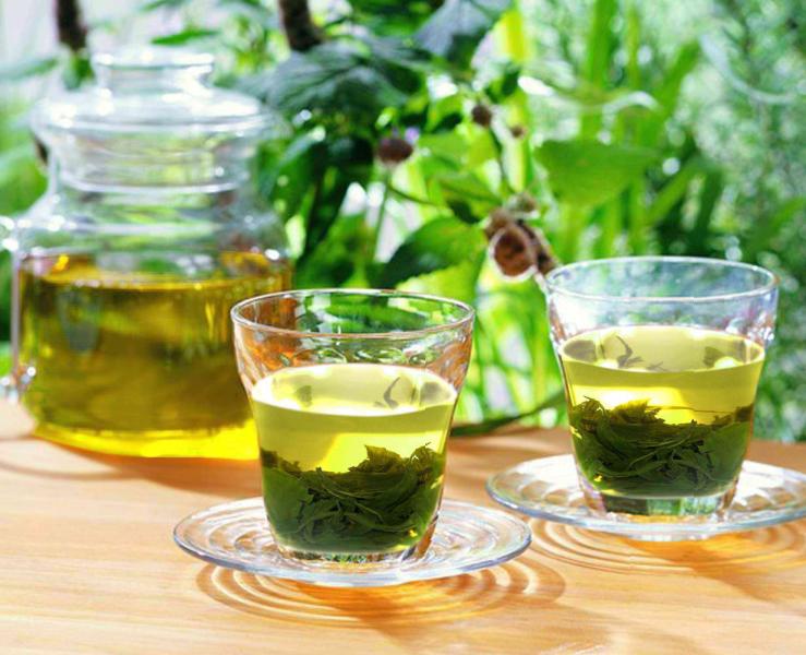 七葉膽-神農(nóng)金康全國(guó)招商