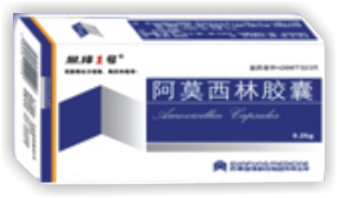 阿莫西林膠囊