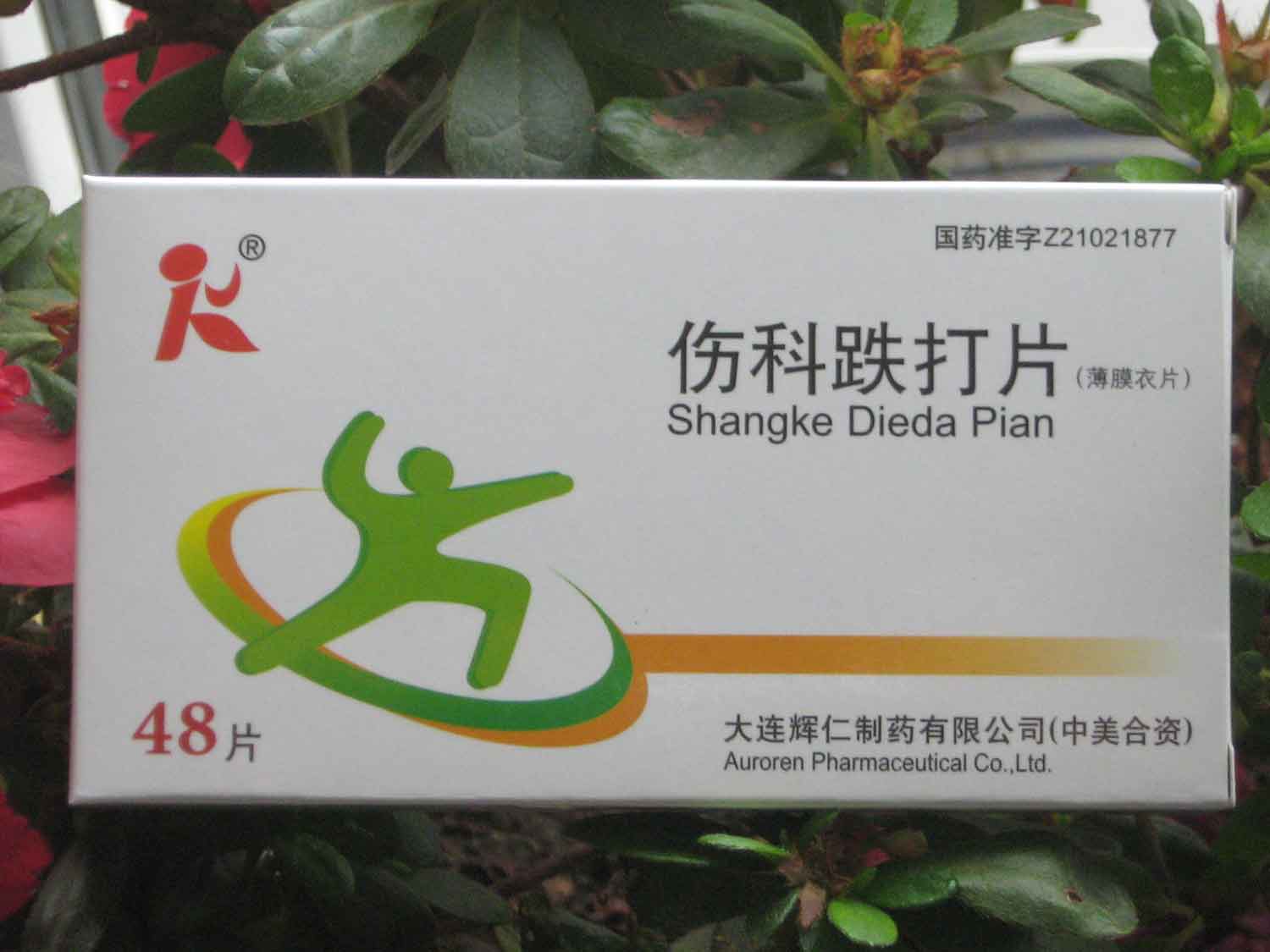 傷科跌打片 大連輝仁制藥有限公司