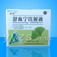 舒血寧注射液