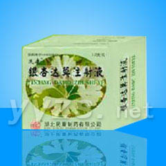 銀杏達(dá)莫注射液