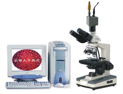 [推薦]一滴血檢測(cè)儀（雙目）