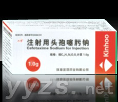 注射用頭孢噻肟鈉