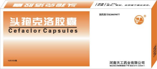 頭孢克洛膠囊