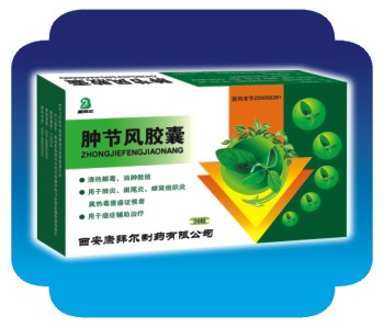 腫節(jié)風(fēng)膠囊