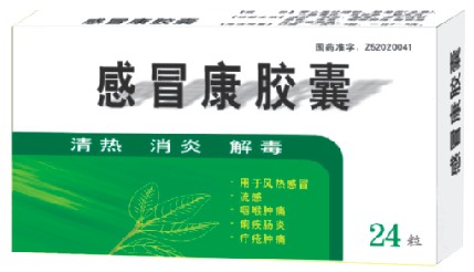 感冒康膠囊