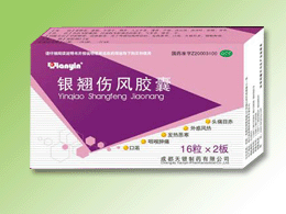 銀翹傷風(fēng)膠囊