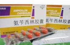 氨芐西林膠囊