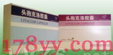 頭孢克洛膠囊