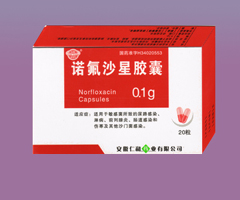 諾氟沙星膠囊