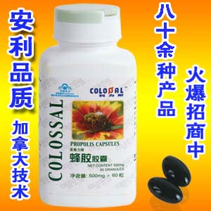 藍(lán)帽蜂膠—國(guó)內(nèi)總黃酮含量最高