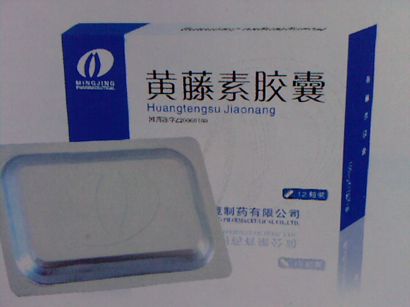 黃藤素膠囊