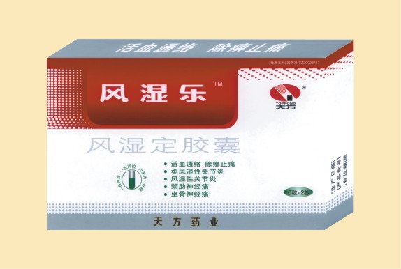 風(fēng)濕定膠囊