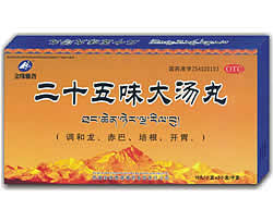 二十五味大湯丸