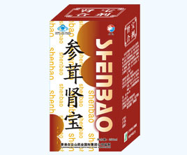 參茸腎寶口服液