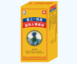雪上一枝蒿止痛搽劑1
