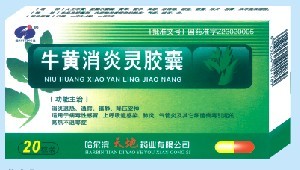 牛黃消炎靈膠囊