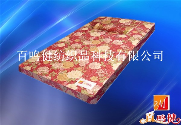 仿生地磁理療床墊